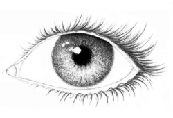 10 важных фактов о глазах!